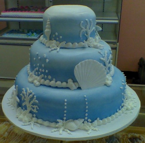 Seashells in blue